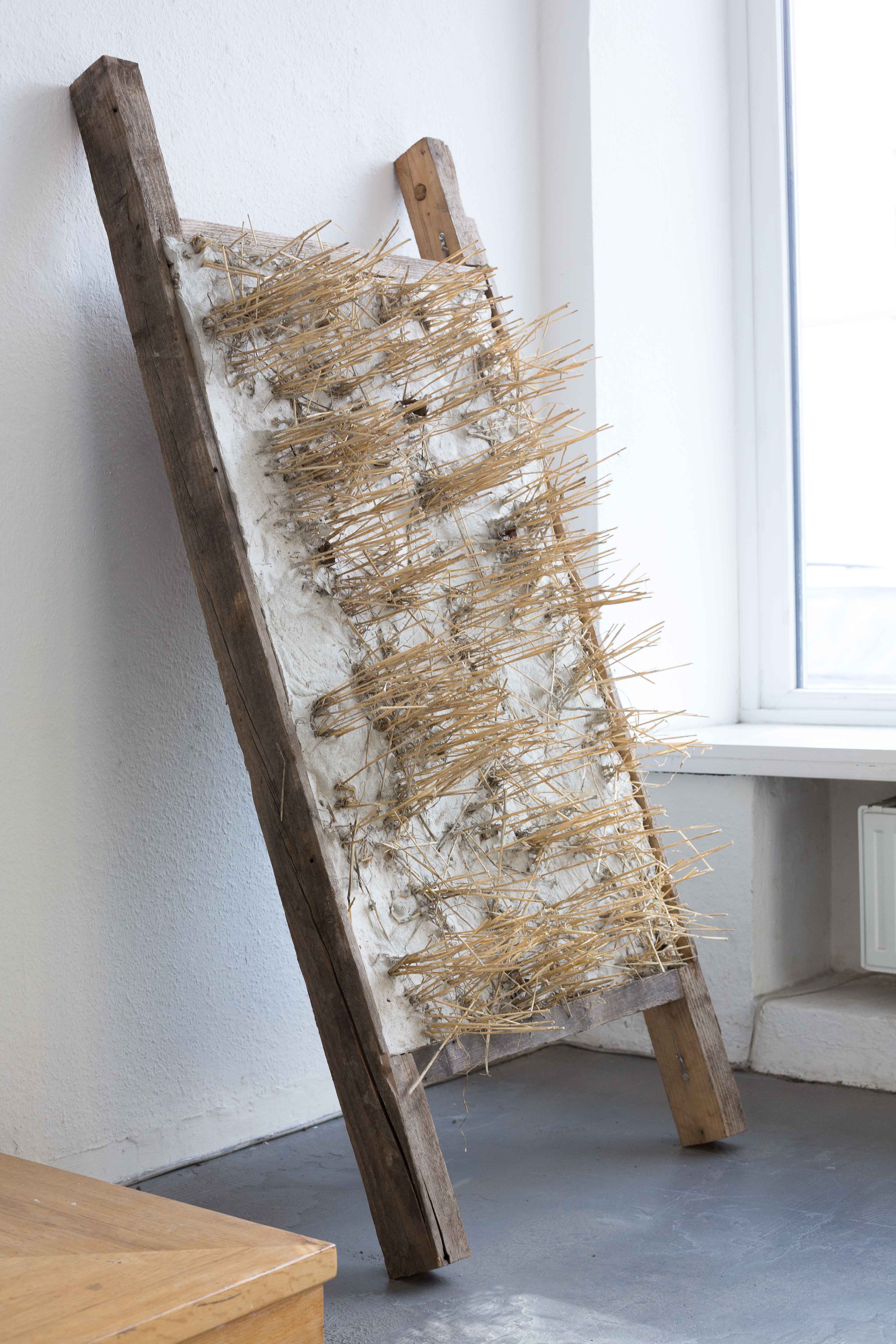 ANDREAS SCHROEDER
