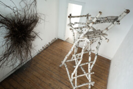 ANDREAS SCHROEDER