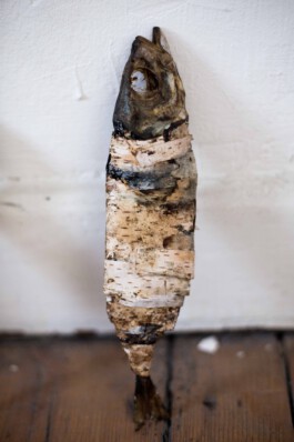 Pisciculi