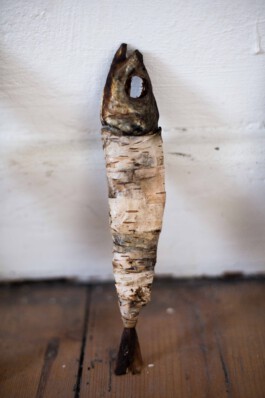 Pisciculi