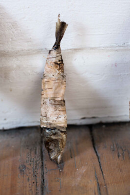 Pisciculi