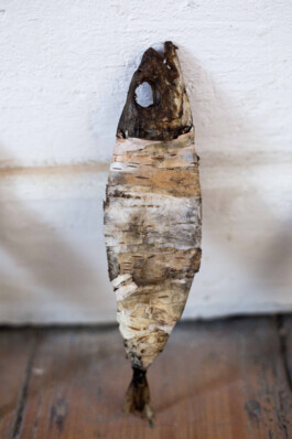 Pisciculi