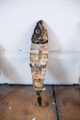 Pisciculi
