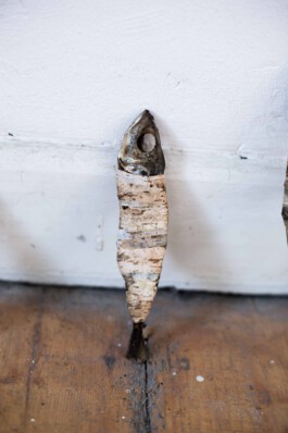 Pisciculi