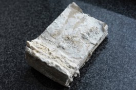 insalted books
