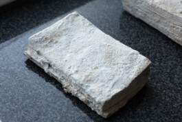 insalted books